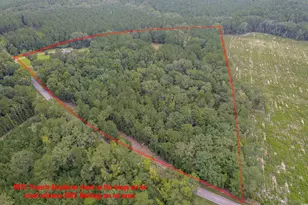 1582 Santee Rd, Andrews, SC 29510 - Photo 39