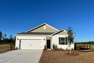 110 Cottage Red Ct, Conway, SC 29527 - Photo 1