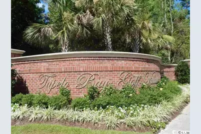 1029 Ray Costin Way #Villa 903, Murrells Inlet, SC 29576 - Photo 31