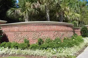 1029 Ray Costin Way, Murrells Inlet, SC 29576 - Photo 31