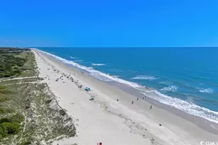 517 Ryegrass Way, Murrells Inlet, SC 29576 - Photo 17