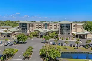 533 Ryegrass Way, Murrells Inlet, SC 29576 - Photo 19