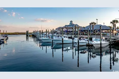Tbd Anna Marie Way, Murrells Inlet, SC 29576 - Photo 21