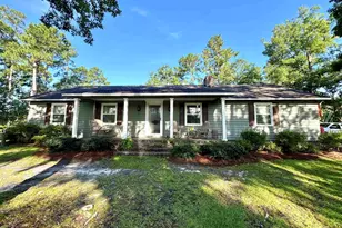 317 Wheeler Rd, Andrews, SC 29510 - Photo 29