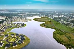 4032 Viola Loop, Myrtle Beach, SC 29579 - Photo 3