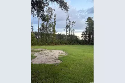 3470 Sadie Circle, Conway, SC 29527 - Photo 33