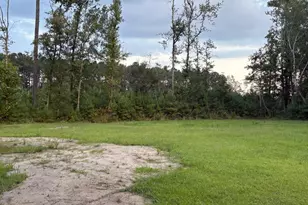 3470 Sadie Circle, Conway, SC 29527 - Photo 33