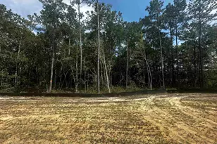 236 Layla Way, Murrells Inlet, SC 29576 - Photo 21
