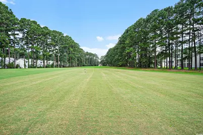 850 Fairway Dr. #1003EE, Longs, SC 29568 - Photo 25