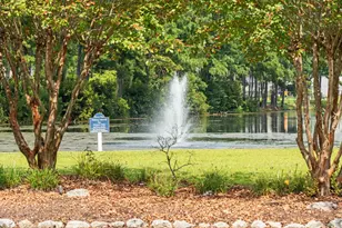 350 Long Meadow Dr, Loris, SC 29569 - Photo 39