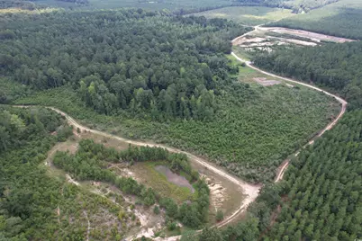 97.83 Acres-Tbd Sugar Hill Fox Rd., Pamplico, SC 29583 - Photo 3