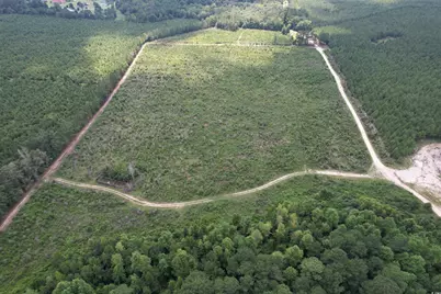 97.83 Acres-Tbd Sugar Hill Fox Rd., Pamplico, SC 29583 - Photo 9
