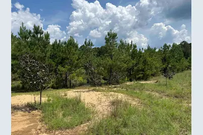 97.83 Acres-Tbd Sugar Hill Fox Rd., Pamplico, SC 29583 - Photo 21