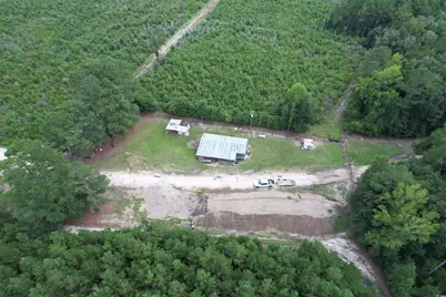 97.83 Acres-Tbd Sugar Hill Fox Rd., Pamplico, SC 29583 - Photo 7