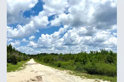 97.83 Acres-Tbd Sugar Hill Fox Rd., Pamplico, SC 29583 - Photo 23