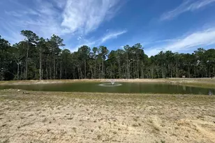 469 Ireland Way, Murrells Inlet, SC 29576 - Photo 13