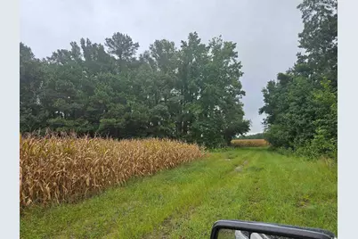 61.77 Acres-Tbd Marion Church Rd., Salters, SC 29590 - Photo 15