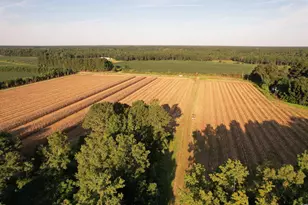 61 77 Acres-Tbd Marion Church Rd, Salters, SC 29590 - Photo 1