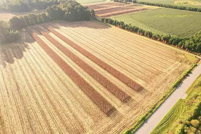 61.77 Acres-Tbd Marion Church Rd., Salters, SC 29590 - Photo 9