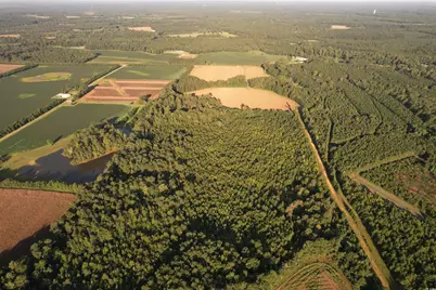 61.77 Acres-Tbd Marion Church Rd., Salters, SC 29590 - Photo 11