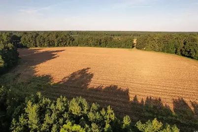 61.77 Acres-Tbd Marion Church Rd., Salters, SC 29590 - Photo 13