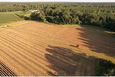 61.77 Acres-Tbd Marion Church Rd., Salters, SC 29590 - Photo 5