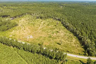 Tbd Pitch Landing Rd, Conway, SC 29527 - Photo 1