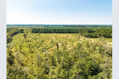 Tbd Pitch Landing Rd., Conway, SC 29527 - Photo 15