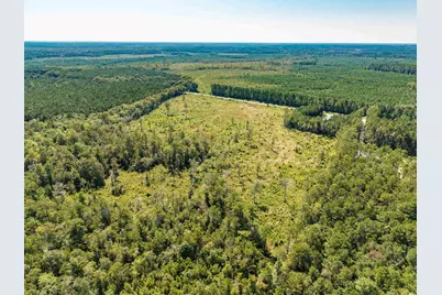 Tbd Pitch Landing Rd., Conway, SC 29527 - Photo 7