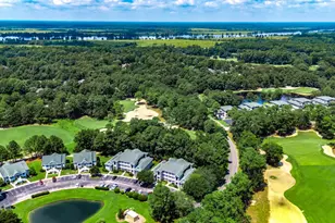 1135 Blue Stem Dr, Pawleys Island, SC 29585 - Photo 27