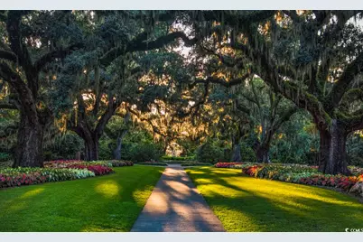 Tbd Anna Marie Way, Murrells Inlet, SC 29576 - Photo 21