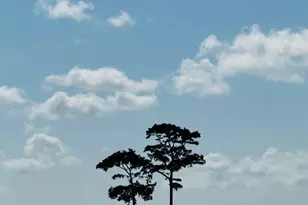 Tbd South Bay St, Georgetown, SC 29440 - Photo 13