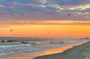 2001 S Ocean Blvd, Myrtle Beach, SC 29577 - Photo 7