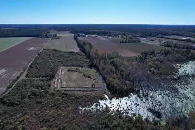 52 Acres-Tbd Vox Hwy., Lake City, SC 29560 - Photo 7