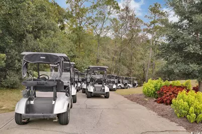 1002 Cherrystone Loop, Conway, SC 29526 - Photo 33