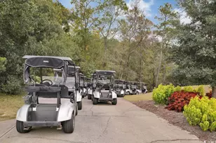 1002 Cherrystone Loop, Conway, SC 29526 - Photo 33