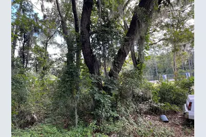 1018 Martin Luther King Rd., Pawleys Island, SC 29585 - Photo 3