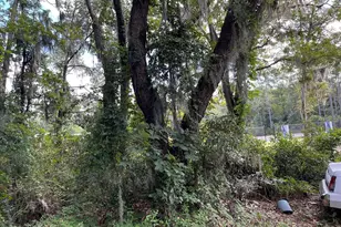 1018 Martin Luther King Rd, Pawleys Island, SC 29585 - Photo 3