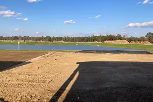 146 River Birch Dr, Loris, SC 29569 - Photo 21