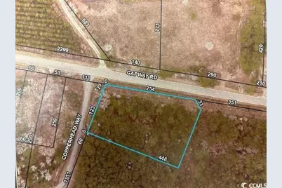 12155 Gapway Rd., Andrews, SC 29510 - Photo 1