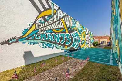 340 Kiskadee Loop #N, Conway, SC 29527 - Photo 25