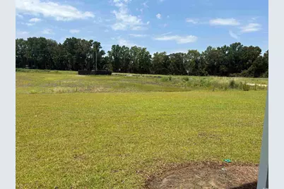 533 Briarfield Loop, Conway, SC 29527 - Photo 9