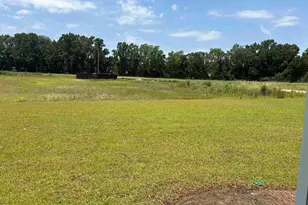533 Briarfield Loop, Conway, SC 29527 - Photo 9