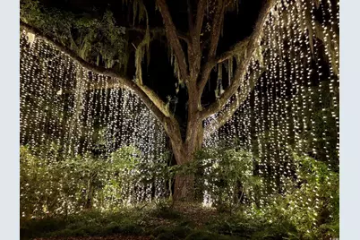 158 Westfield Circle, Conway, SC 29526 - Photo 19