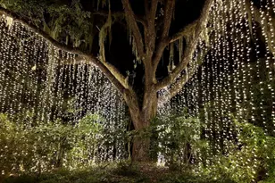 158 Westfield Cir, Conway, SC 29526 - Photo 19