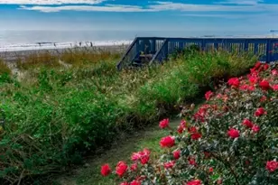 2001 S Ocean Blvd, Myrtle Beach, SC 29577 - Photo 17