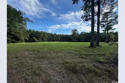 Tbd Dead Ridge Rd, Nichols, SC 29581 - Photo 1