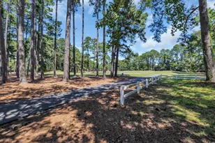 208 Lander Dr, Conway, SC 29526 - Photo 37
