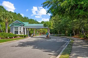 641 Botany Loop, Murrells Inlet, SC 29576 - Photo 37