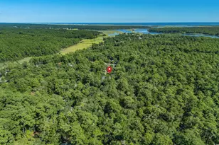 2142 Marion Cir, Little River, SC 29566 - Photo 39